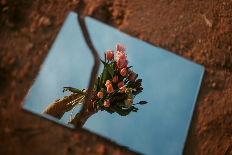 flowers-9554400_1280
